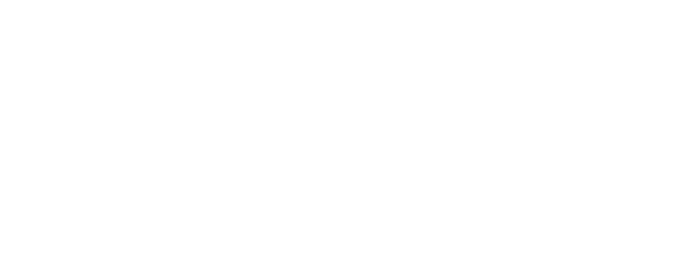 Digizer